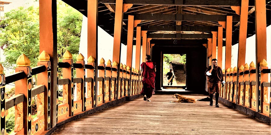 Punakha Dzong Bridge 